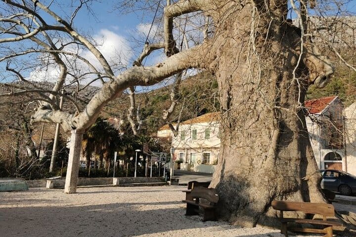 Dubrovnik Country and Ston Private Tour 10