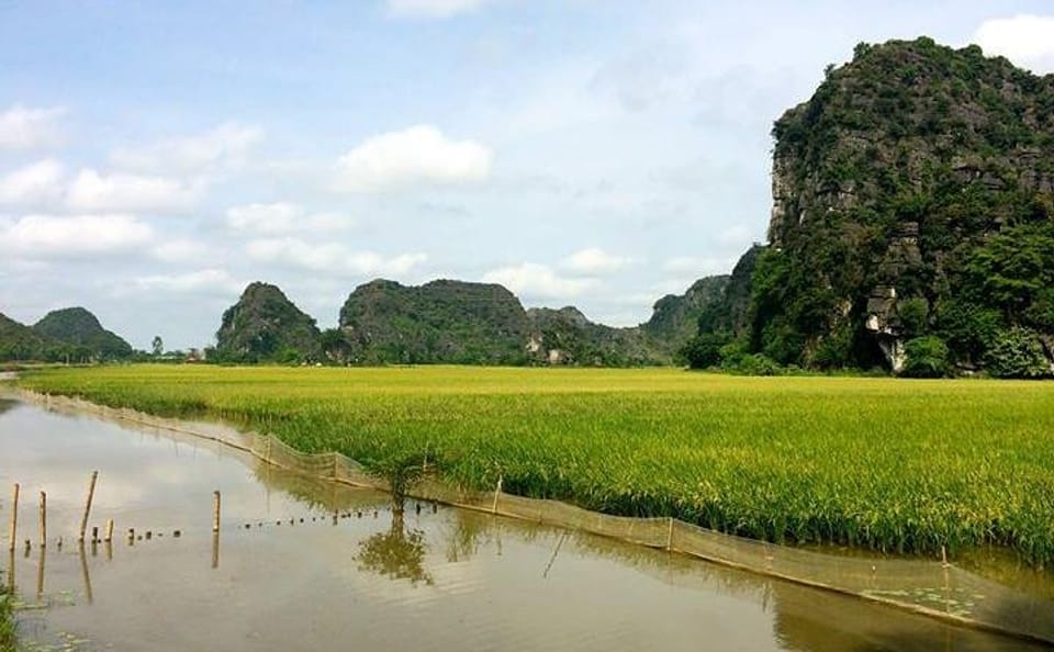 Full Day Tour of Ninh Binh and Bai Dinh from Hanoi