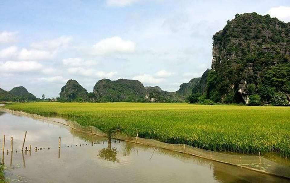Full Day Tour of Ninh Binh and Bai Dinh from Hanoi