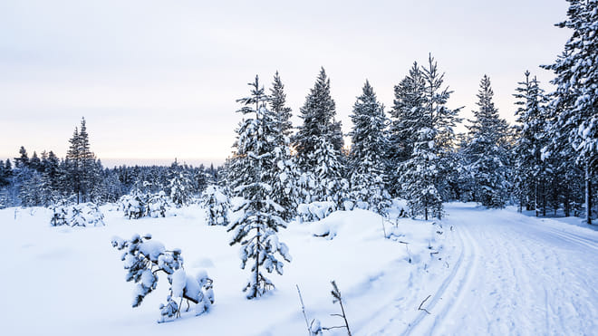 Full Day Snowmobile Driving with Ice Fishing in Saariselka - Saariselkä 6