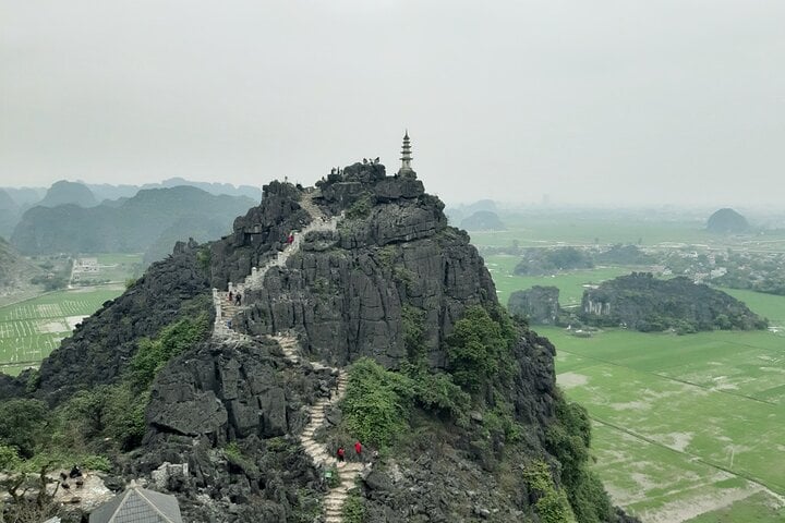 Mua cave top