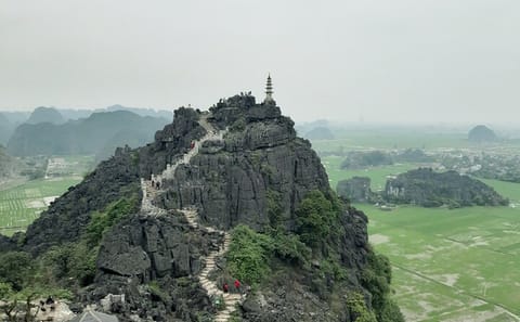Luxury Day Trip from Hanoi: Explore Ninh Bình's Mua Cave and Tam Coc