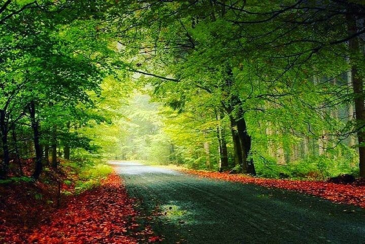 qechresh forest Guba Azerbaijan tour