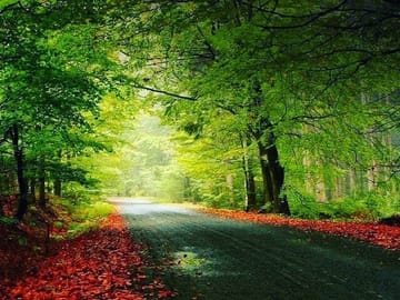 qechresh forest Guba Azerbaijan tour