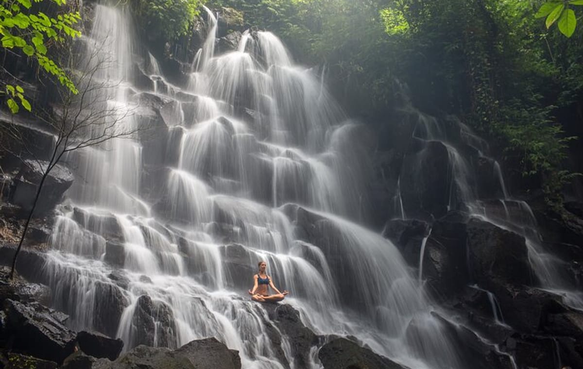 Rice Terraces Sacred Temples and Waterfall Tour from Ubud