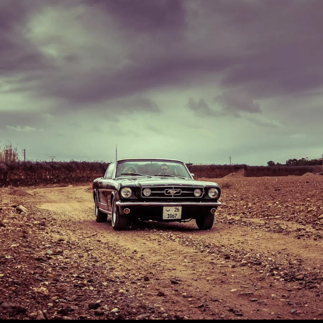 ½ Day : 1930’s Gentelman Vintage Car Ride & Camel Ride in Mythical Palm Groves | Private & Luxury 6