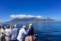  Robben Island, Kirstenbosch Gardens and Groot Constantia Tour 1