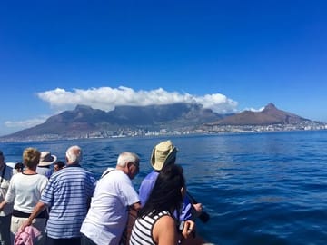 Robben Island and Kirstenbosch Gardens Day Tour in Cape Town