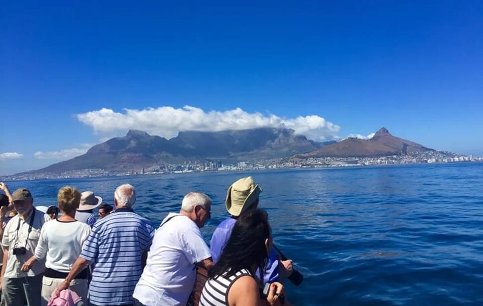 Robben Island and Kirstenbosch Gardens Day Tour in Cape Town