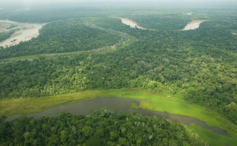 4-Day Nature Adventure at Hacienda Concepcion, Puerto Maldonado