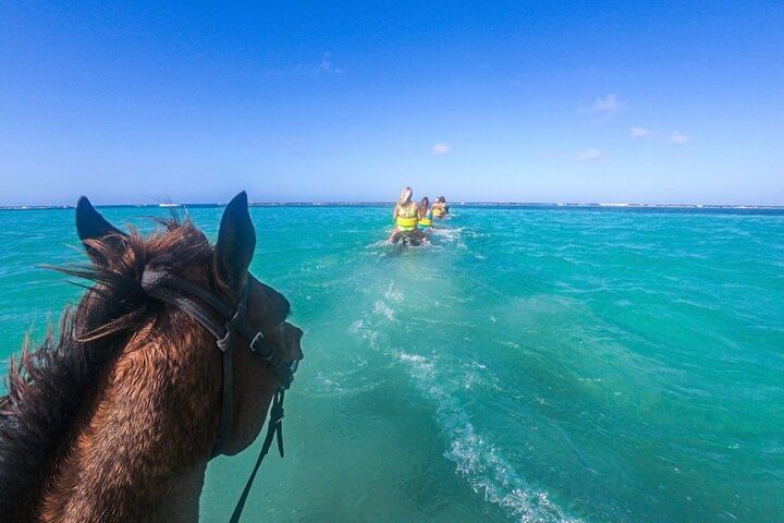 ATV and Horse Back Riding Adventure with Pick Up from Montego Bay