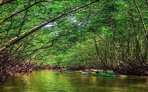 James Bond Island Twilight Canoe & Plankton Tour from Khao Lak