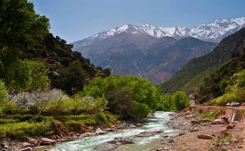 Discovering Ourika Valley and Atlas Mountains with a Local Guide
