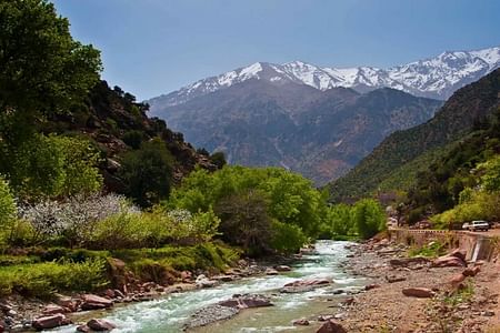 Explore the Atlas Mountains & Ourika Valley with Local Berber Guides