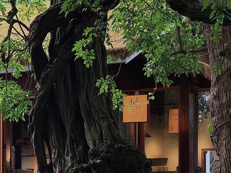 Suzhou: Taihu Lake Islands Scenic Private Day Tour