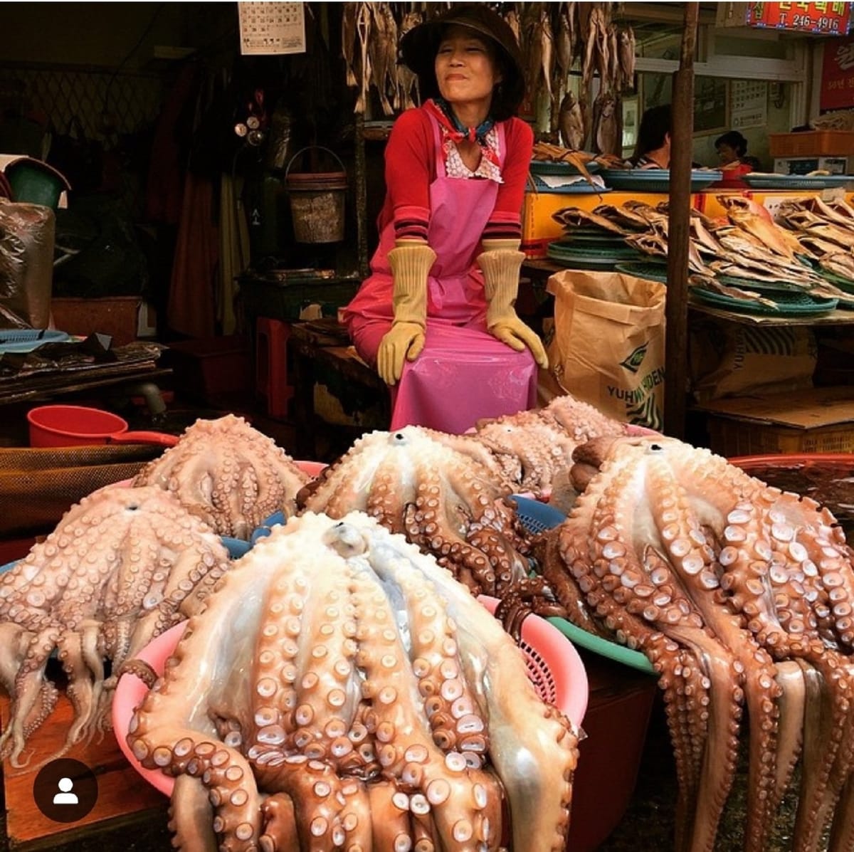 A lively scene inside Busan’s famous Jagalchi Fish Market.