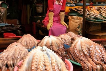 Private Busan Tour – Explore Landmarks with a Licensed Guide