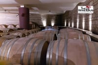 French oak barrels