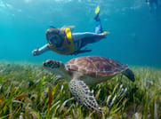 Mega Combo: Parasail, Mayan Ruins & Snorkel in Cancun 4