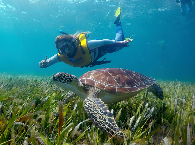 Mega Combo: Parasail, Mayan Ruins & Snorkel in Cancun 4