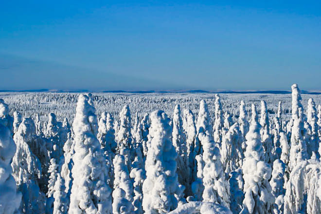 Snowmobile Safari in the Arctic Nature - Rovaniemi 10