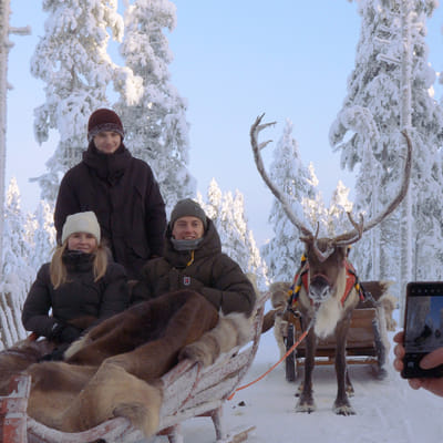 Snowy Forest Reindeer Ride in Rovaniemi - Image 9
