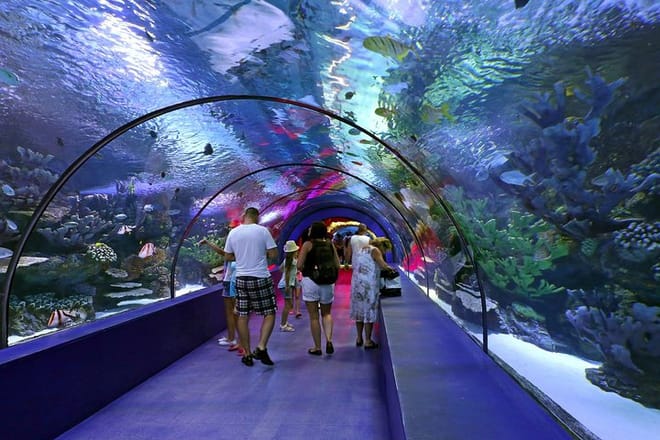 Antalya: Aquarium, Wax Museum & Combo Package Options 3