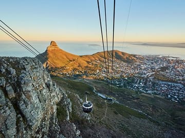 Cape Town Half-Day Tour: Table Mountain, Penguins, and Wine Tasting