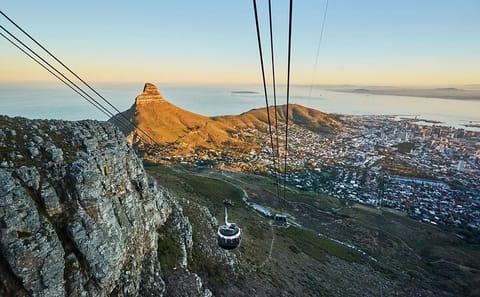 Cape Town Half-Day Tour: Table Mountain, Penguins, and Wine Tasting