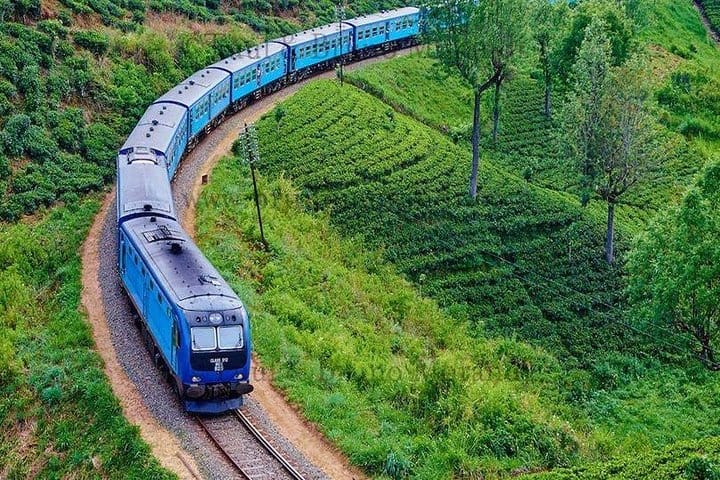 Chauffer Driven Standard Van