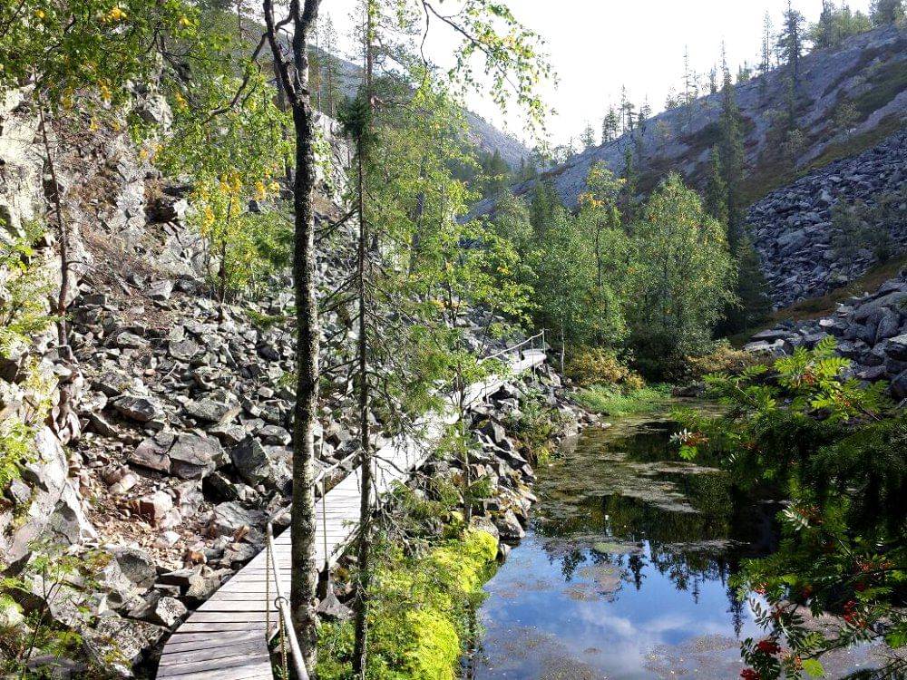 A walking bridge in Iso-Kuru ridge in Pyhä-Luosto Natiional Park