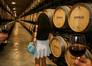 From Lisbon: Évora Wine, Bones Chapel & Cork Experience 1
