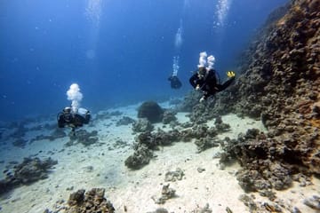 Diving Adventure in Hurghada: Explore the Red Sea Reefs