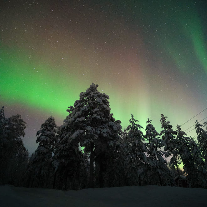 Rovaniemi: Insider Northern lights trip for families