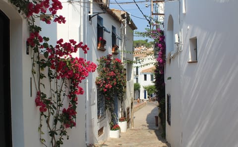 Full Day Tour of Costa Brava's Charming Towns from Barcelona