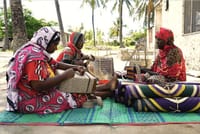 Private Zanzibar Culture Discovery Tour and Mtende Beach Experience 6