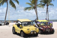 Tour to Mangue Seco With Boat Tour 2