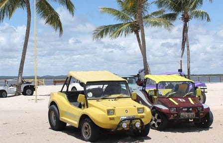 Tour to Mangue Seco With Boat Tour