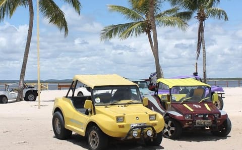 ATV and Boat Tour to Mangue Seco from Aracaju