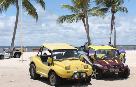 Tour to Mangue Seco With Boat Tour
