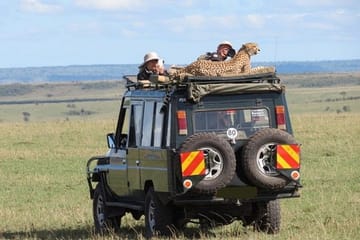 8-Day Wildlife Safari Adventure in Kenya's Laikipia County