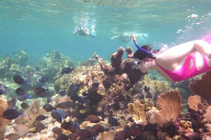 ATV Buggy Adventure and Snorkeling in Roatan, Honduras