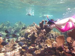 ATV Thrills & Snorkeling Adventure with Chocolate Factory Visit: ISLAND TOUR