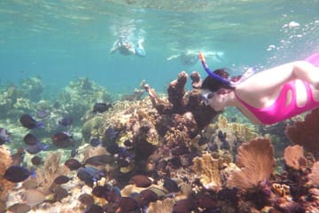 ATV Buggy Adventure and Snorkeling in Roatan, Honduras