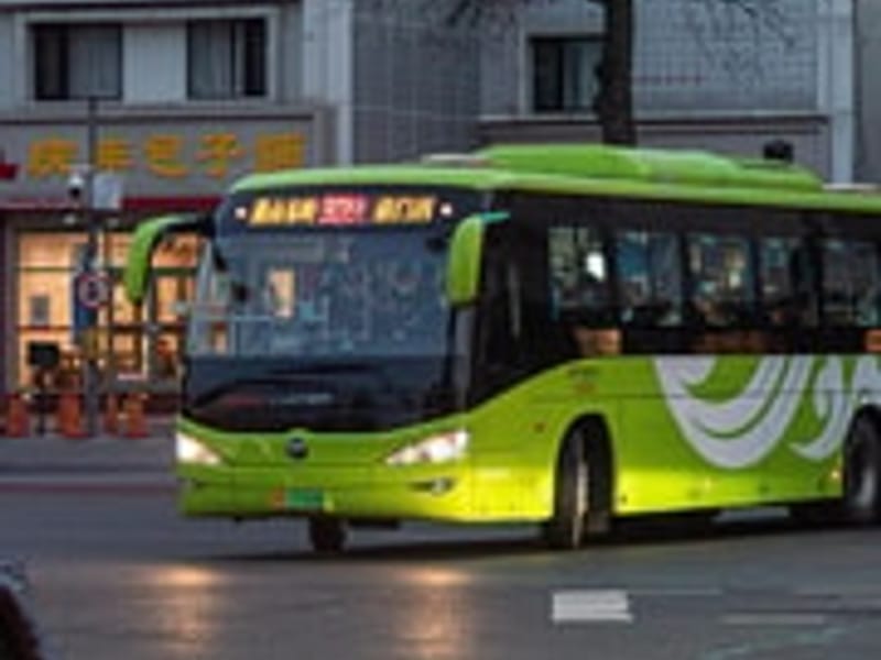 Beijing: Tai Chi & Kung Fu Class with a Master