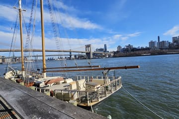 Walking Tour of Wall Street, 9/11 Memorial & Charging Bull in NYC
