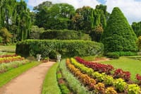 04 Nights & 05 Days Tour In Sri Lanka  4