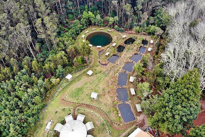 Cristo Rei & Arieiro Peak Half day Tour in Open Roof 4x4 9