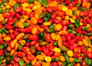Traditional Culinary & Gastronomy Roots of Lima 7