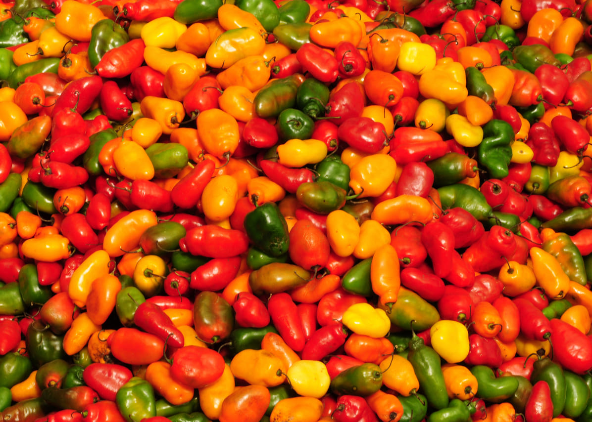 Traditional Culinary & Gastronomy Roots of Lima 7